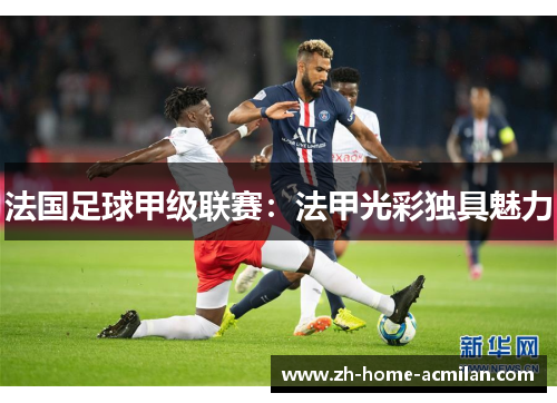 法国足球甲级联赛：法甲光彩独具魅力